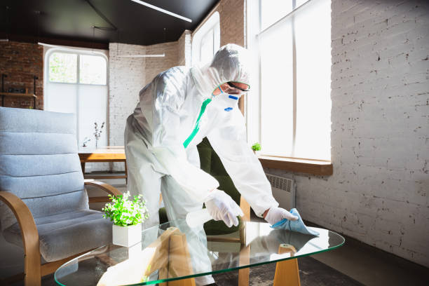 Best Asbestos and Lead Testing During Mold Inspection in USA